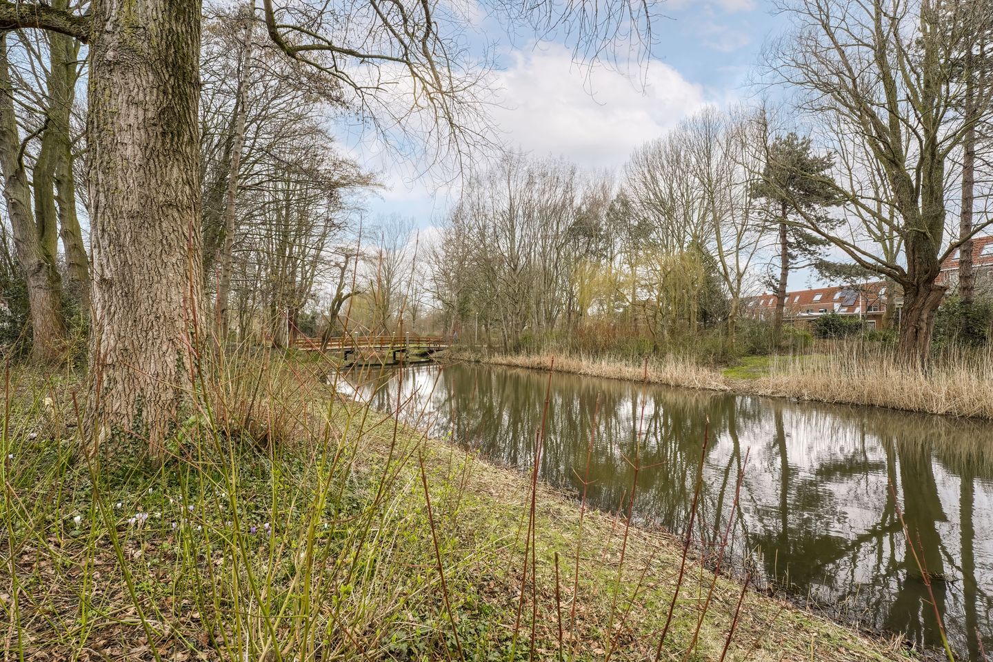 Foto 40 van Pallas 32