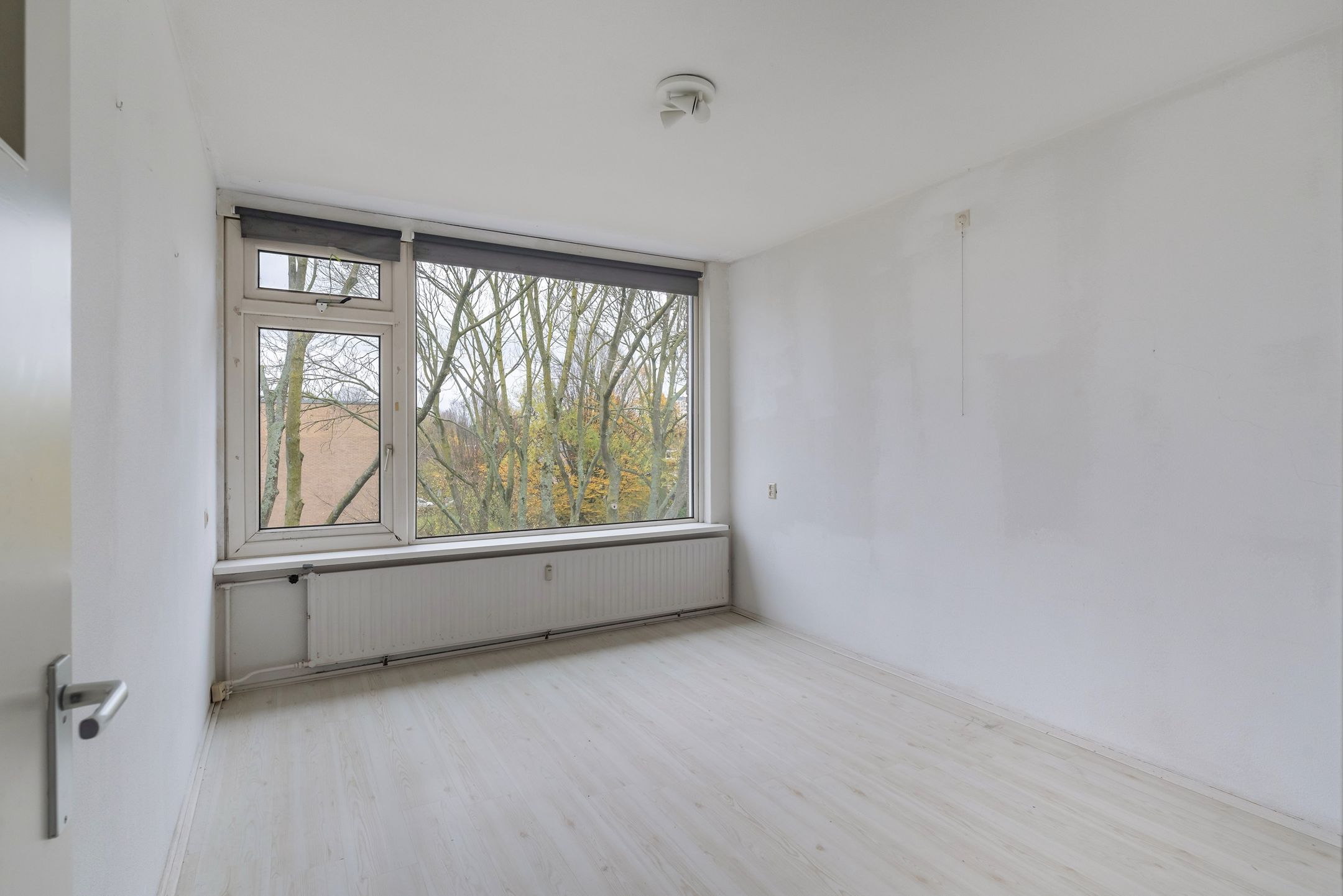 Foto 6 van Dalenoord 113