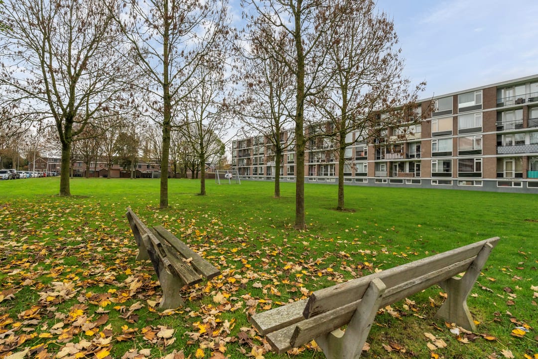 Foto 11 van Dalenoord 113