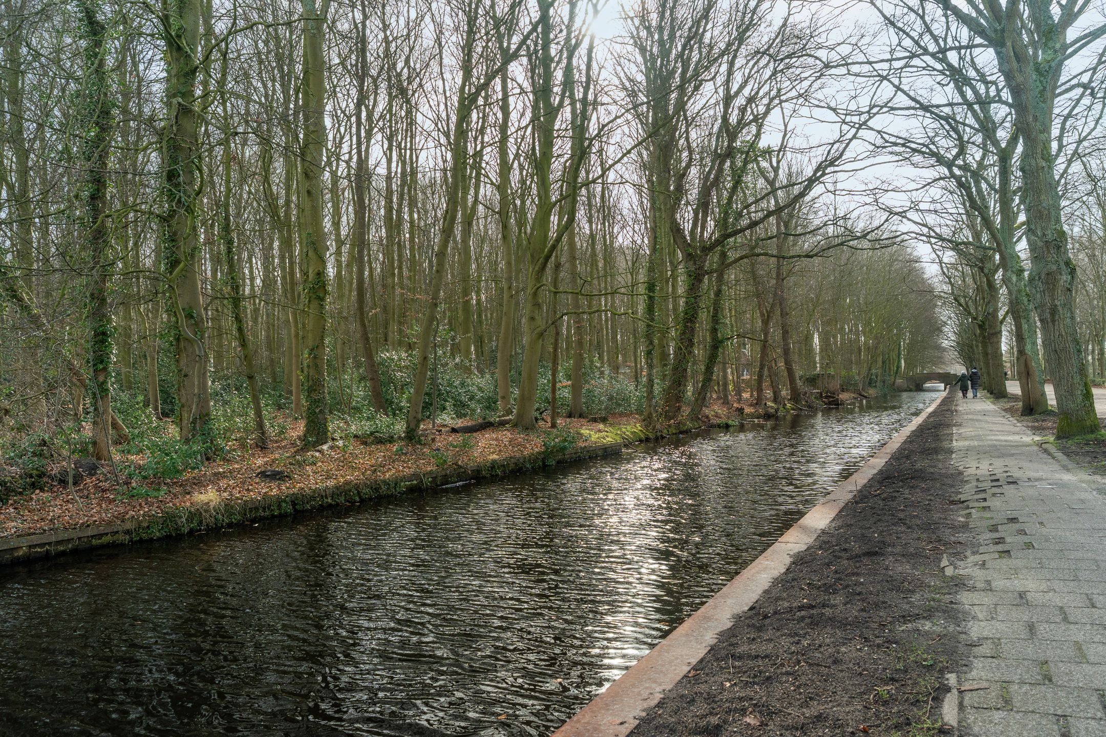 Photo 42 of Junghuhnstraat 11