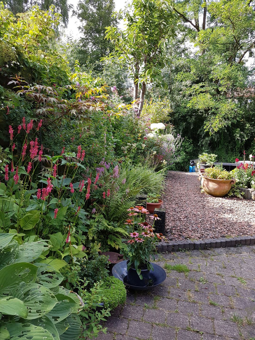 Foto 28 van Bergse Maas 8