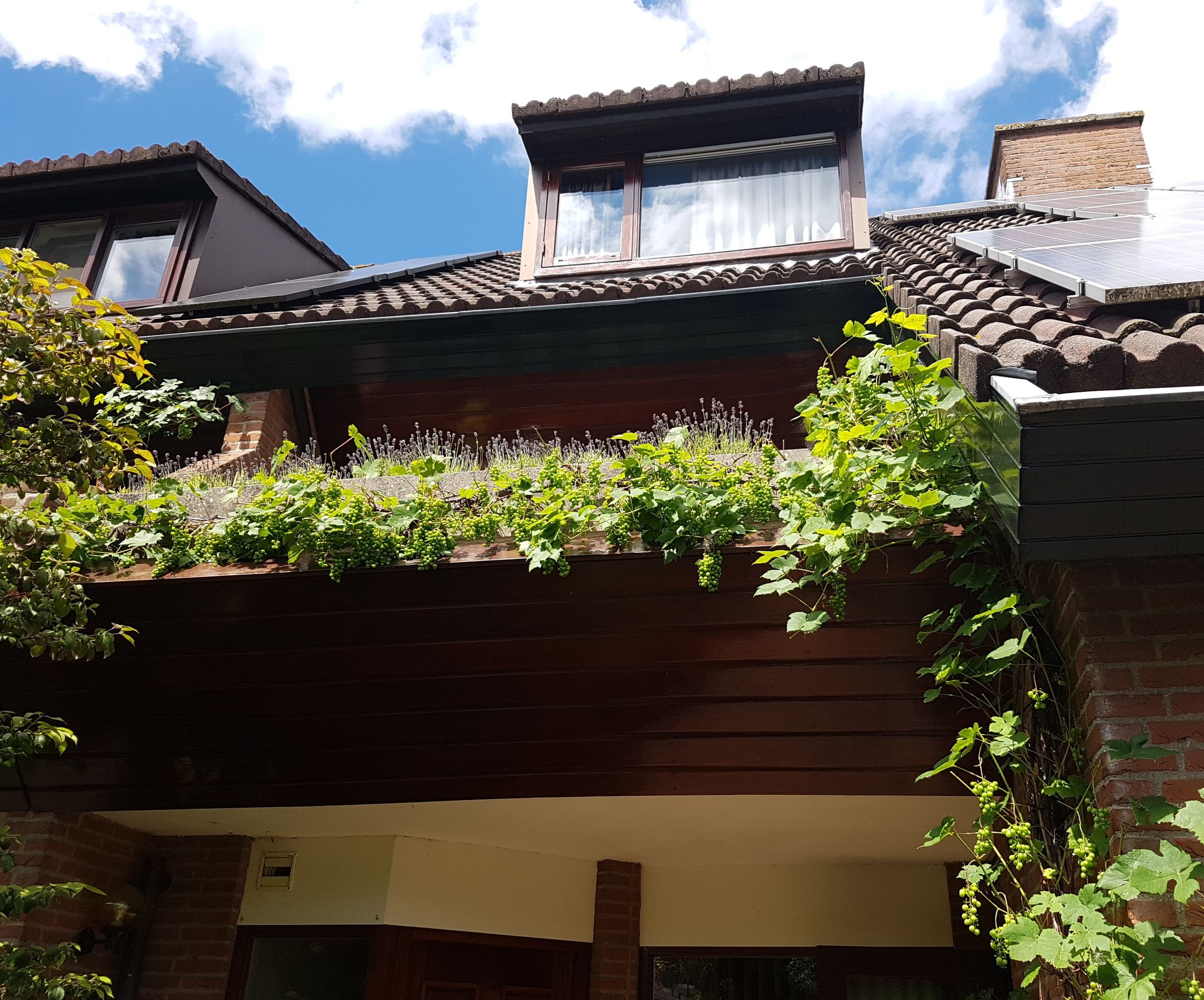 Foto 27 van Bergse Maas 8