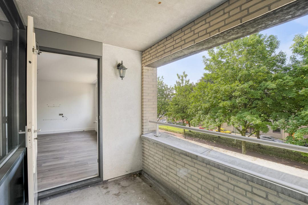 Foto 23 van Boksdoornerf 46