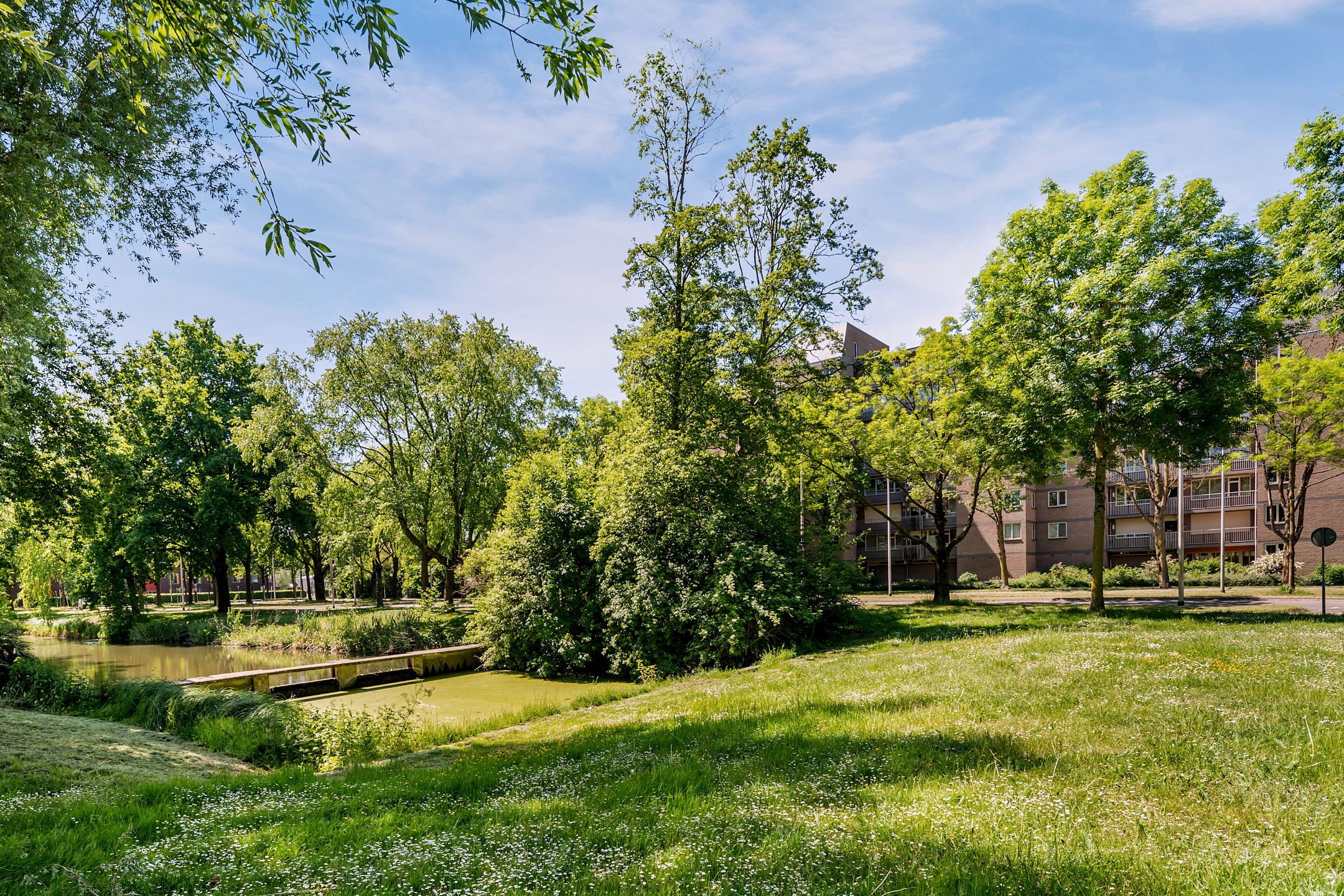 Photo 3 of Nieuwveld 86