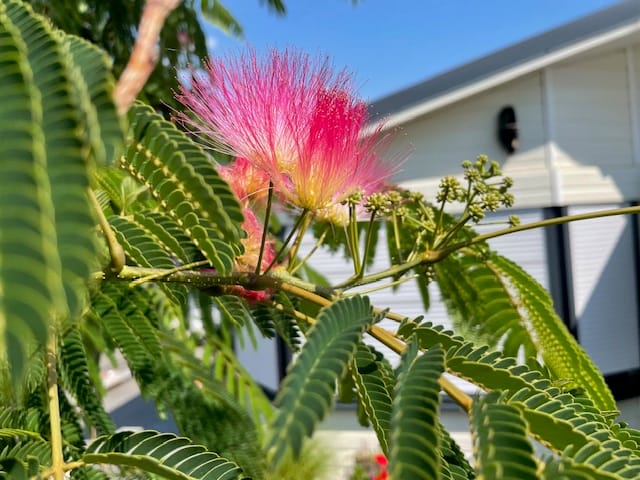 Foto 2 van Dorperheideweg 34-2112