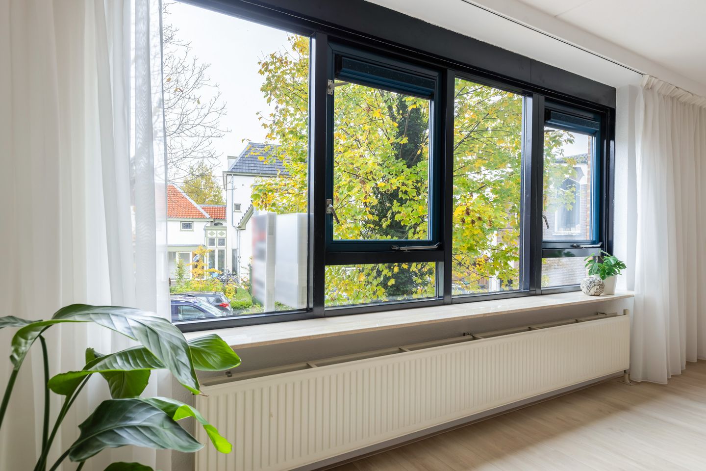 Foto 19 van Hofdwarsstraat 48