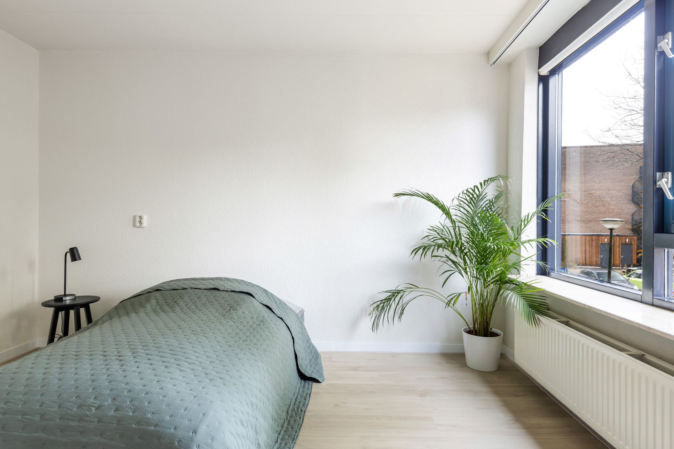 Foto 24 van Hofdwarsstraat 48