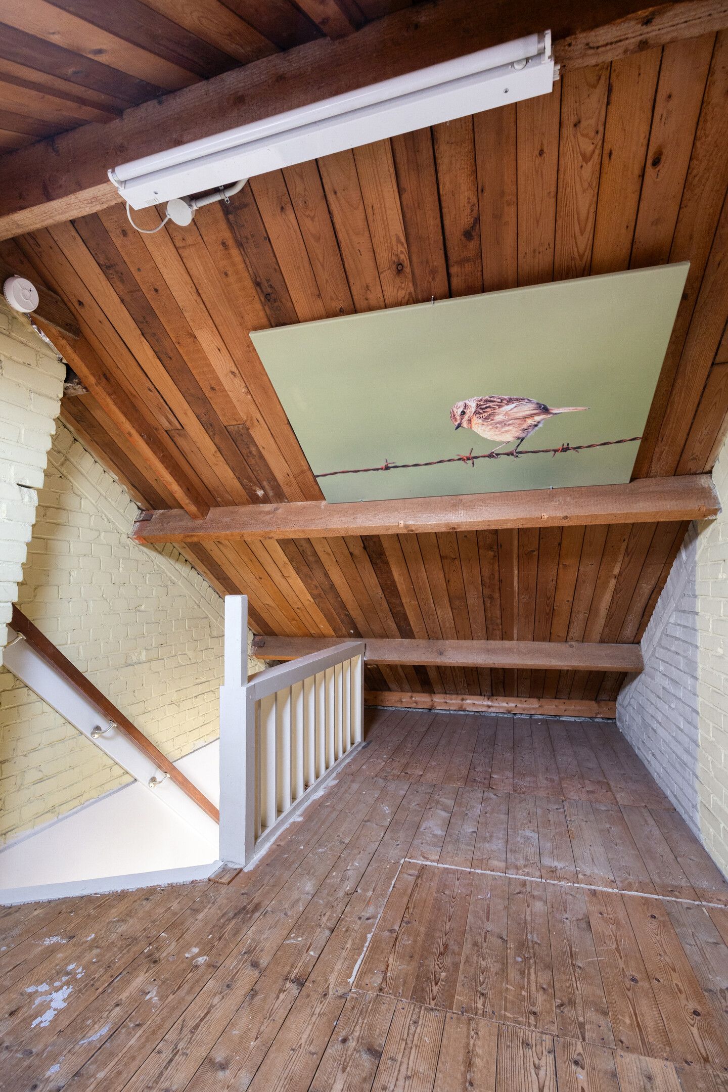 Foto 25 van Distelstraat 30