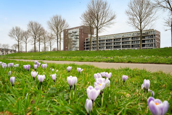 Foto 5 van Zevenkampse Ring 388