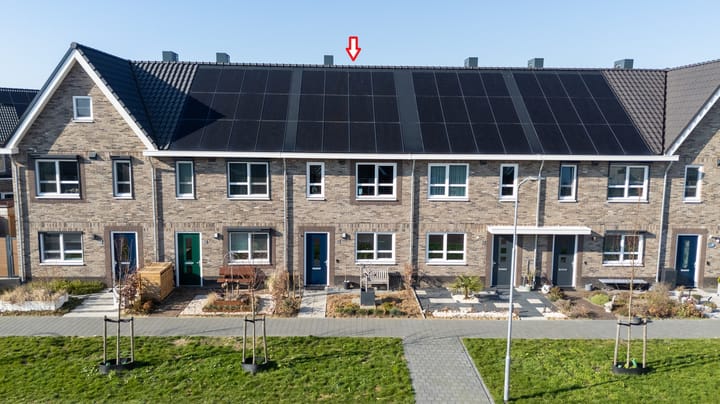 Photo 5 of Langeweide 5