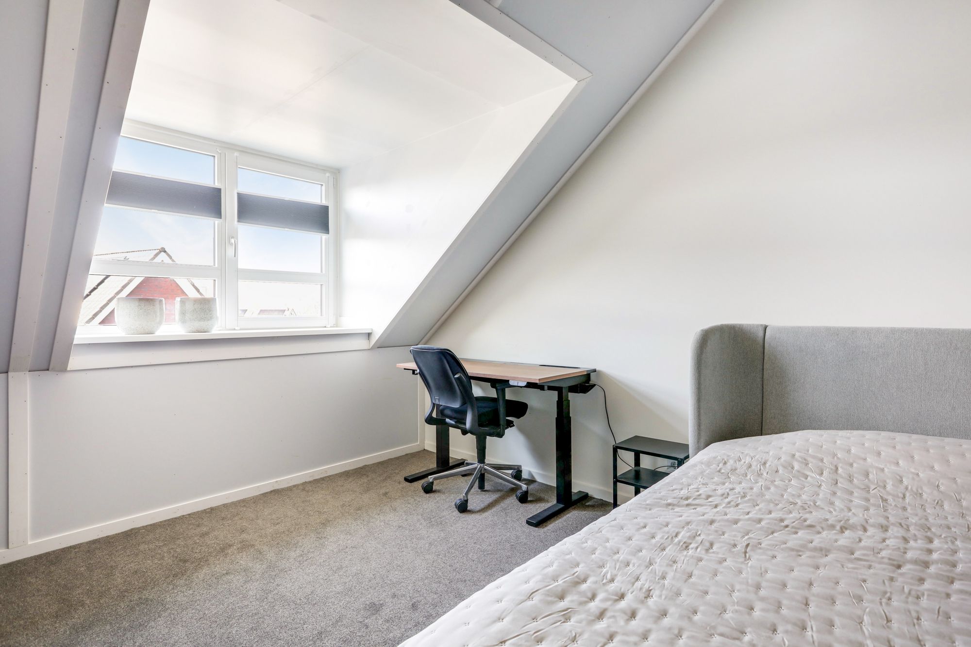 Photo 48 of Langeweide 5