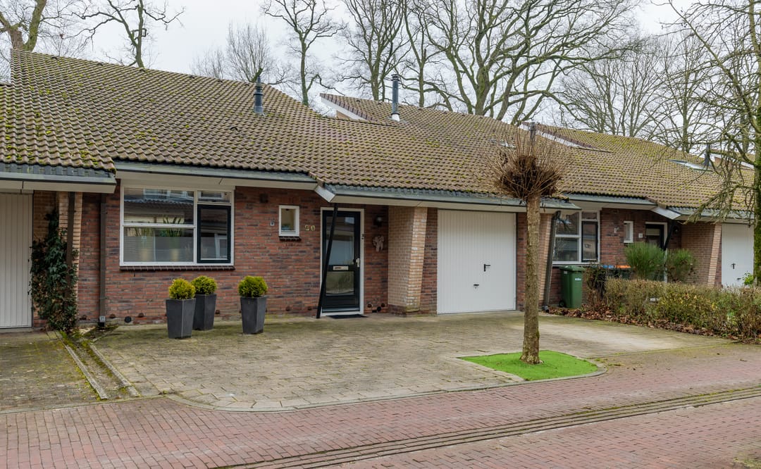 Photo 2 of Ommerbos 20