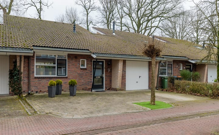 Photo 2 of Ommerbos 20