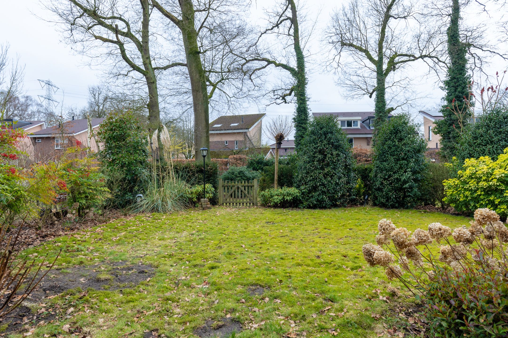 Photo 6 of Ommerbos 20