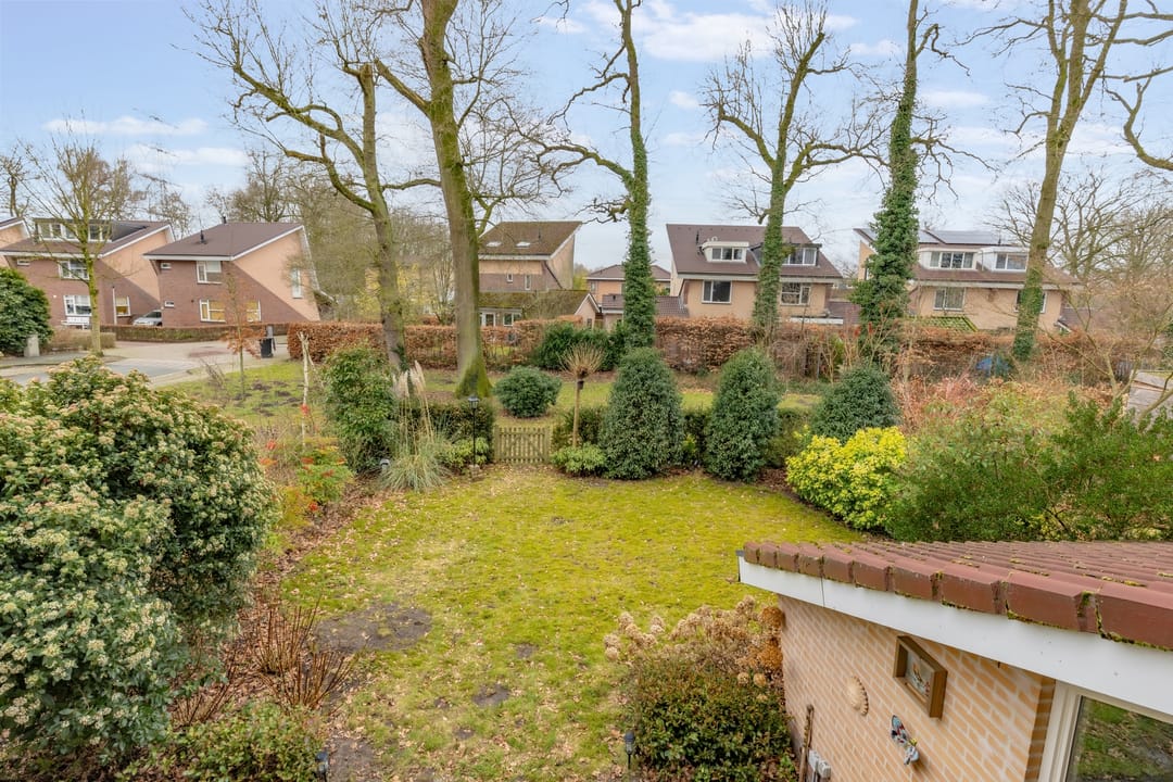 Photo 32 of Ommerbos 20