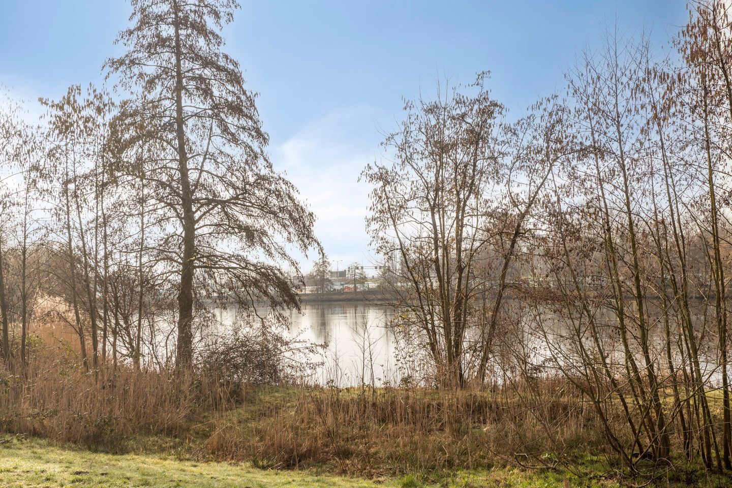 Foto 25 van Aalscholversingel 378