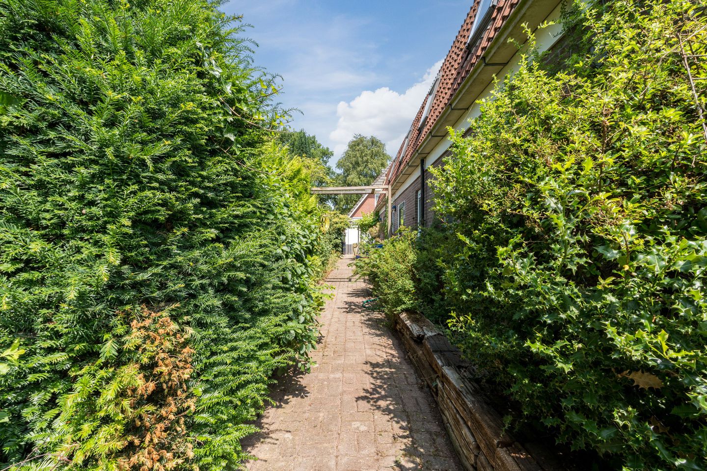 Photo 65 of Carstensdijk 148