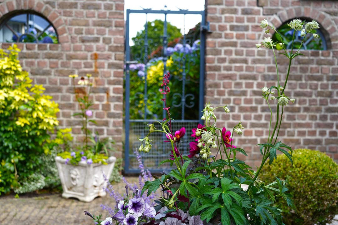 Foto 52 van Molenweg 25