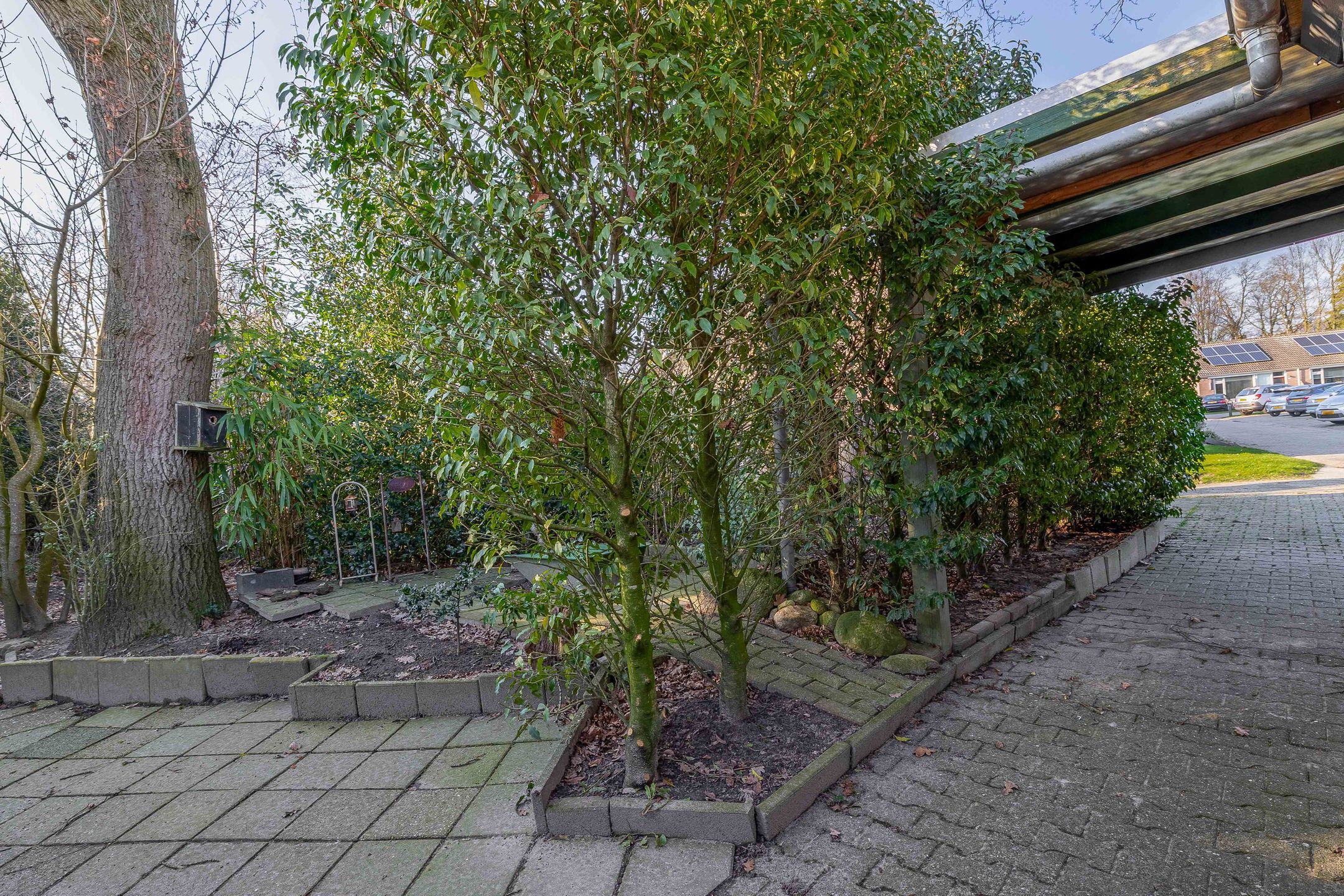 Foto 36 van Dennenlaan 17