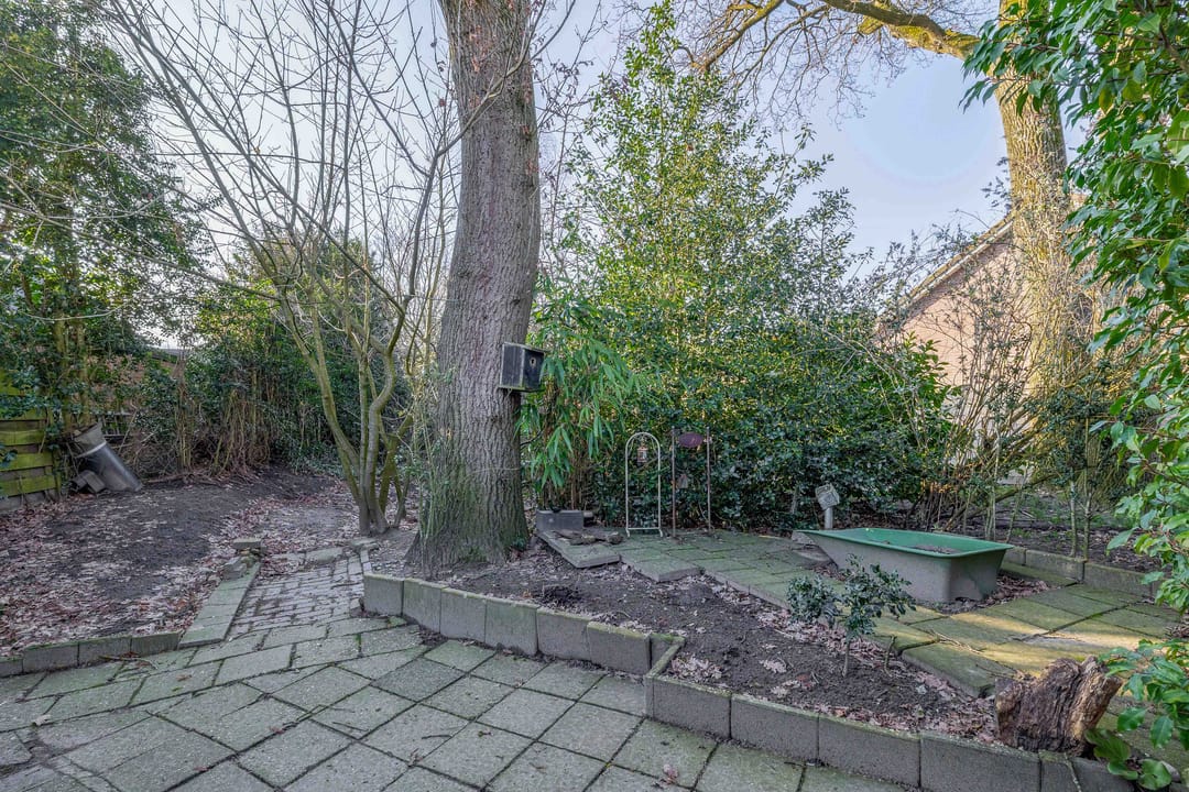 Foto 37 van Dennenlaan 17