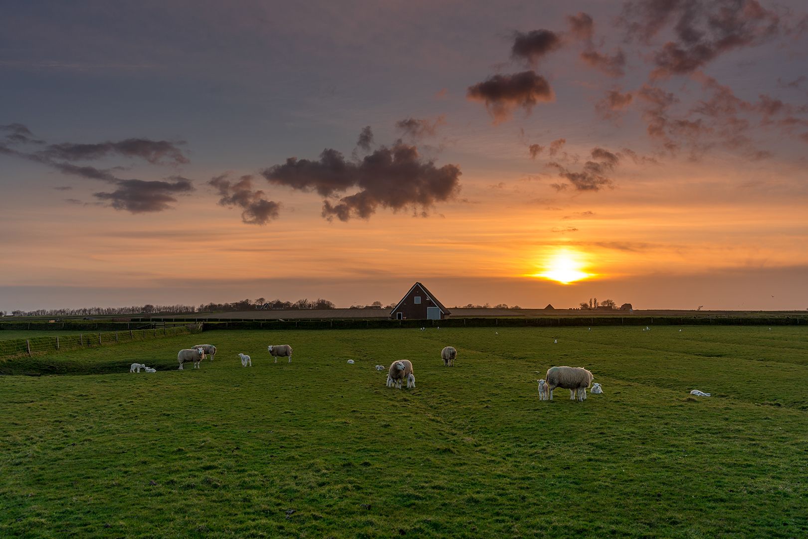 Foto 6 van Dorpsstraat 241