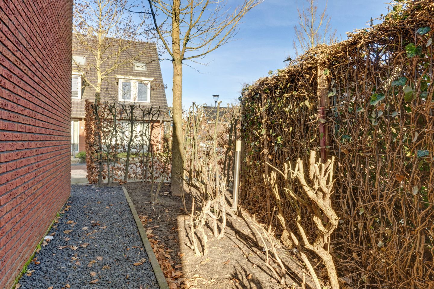 Photo 19 of Watersnipweide 1