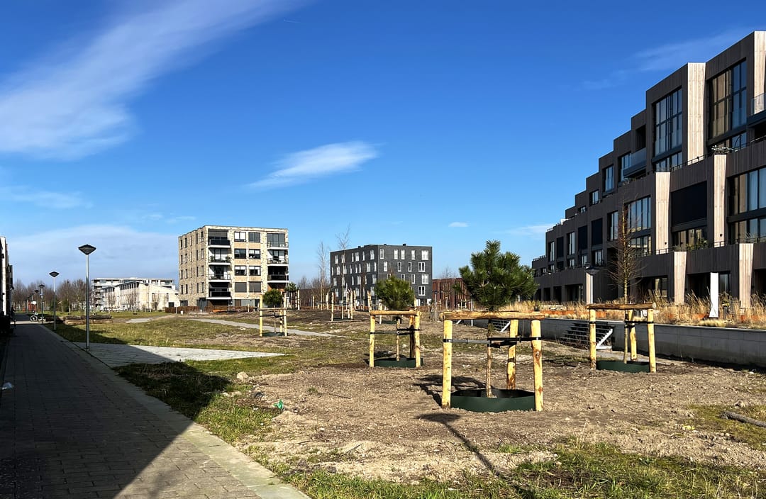 Photo 26 of Wimpelplantsoen 203