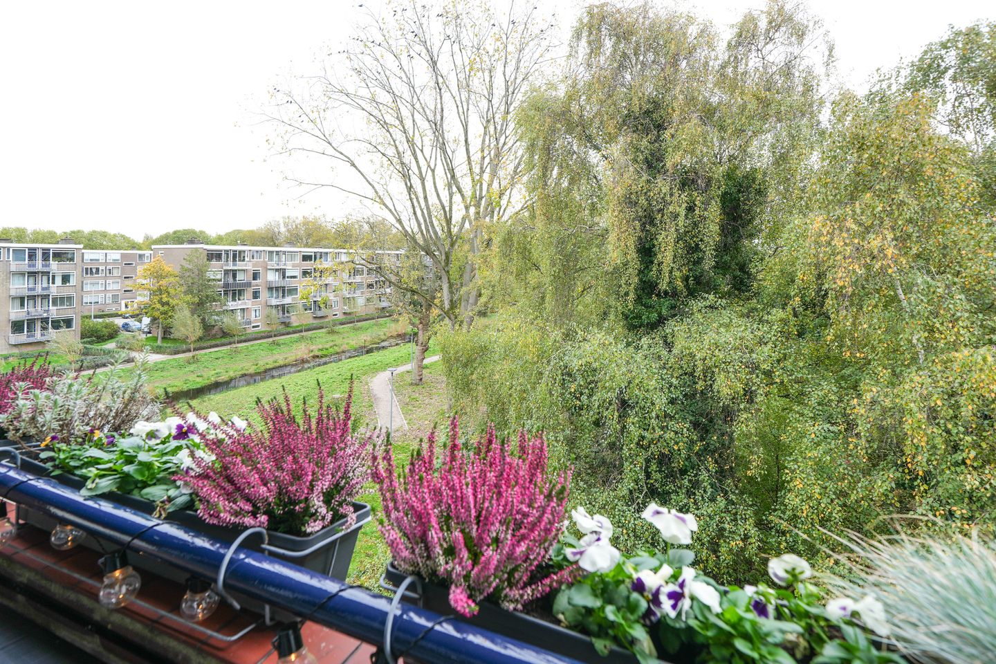 Photo 25 of Vegelinsoord 116