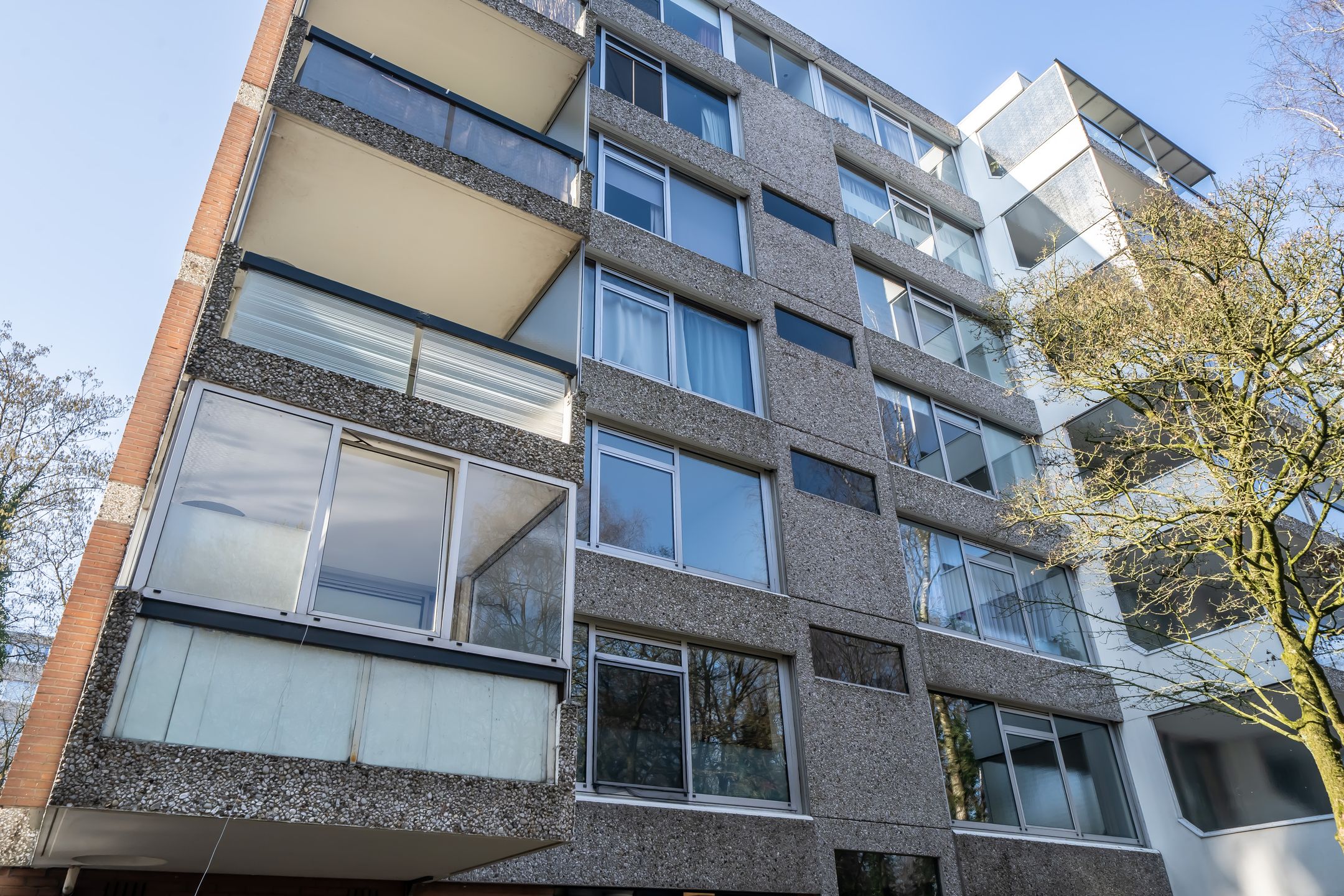 Photo 6 of De Zalmen 56