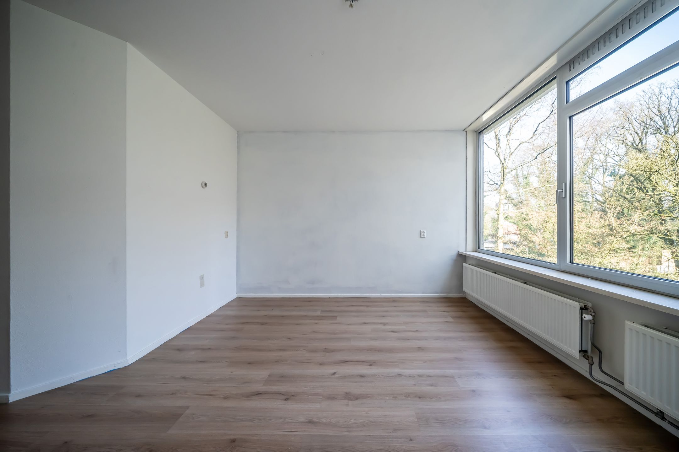 Photo 12 of De Zalmen 56