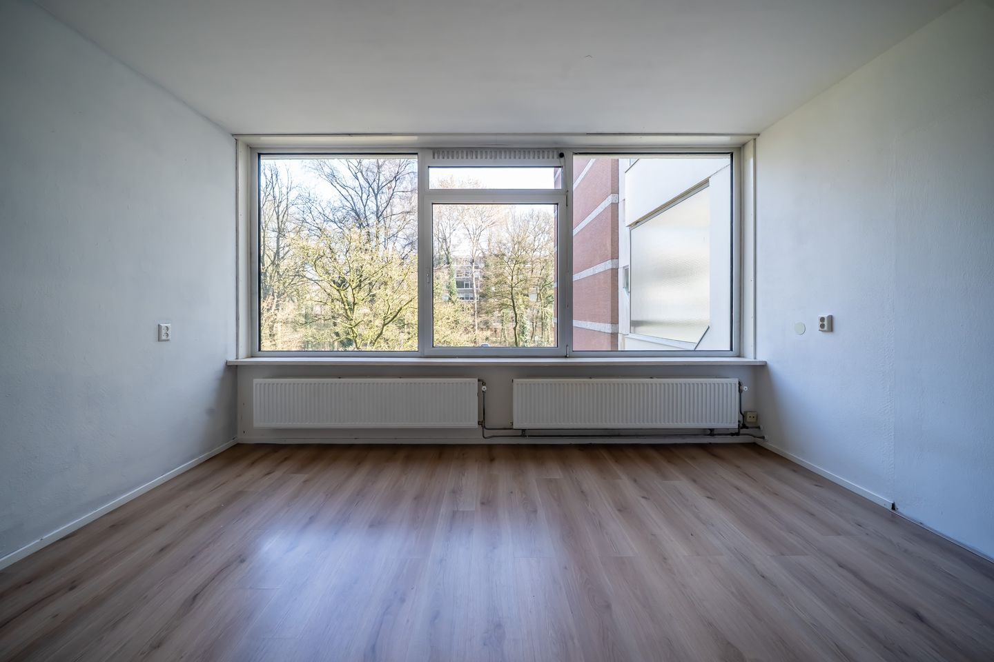 Photo 14 of De Zalmen 56