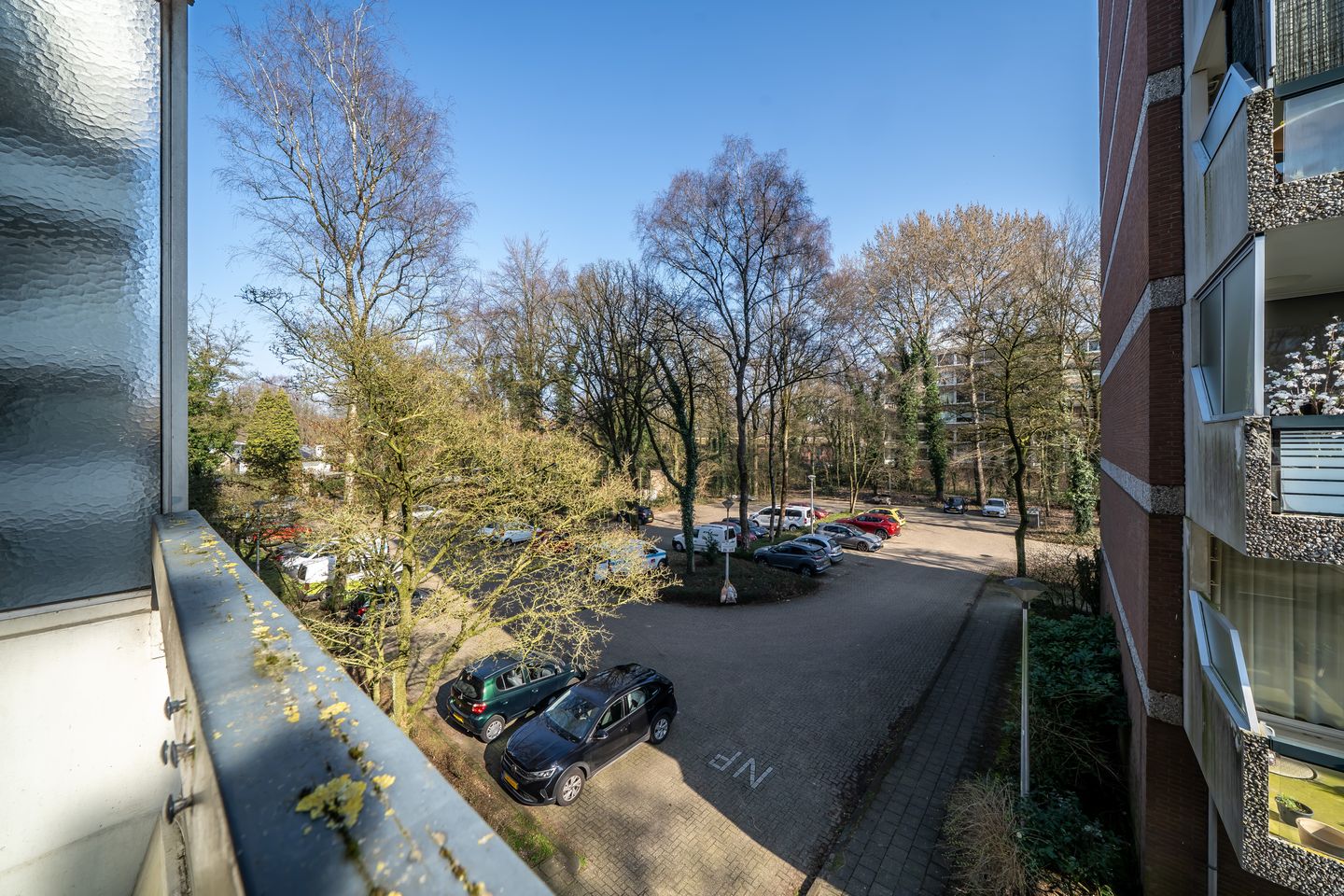 Photo 19 of De Zalmen 56