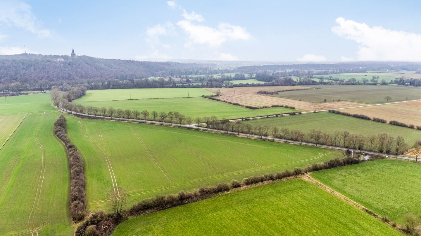 Foto 10 van Hofstraat 2