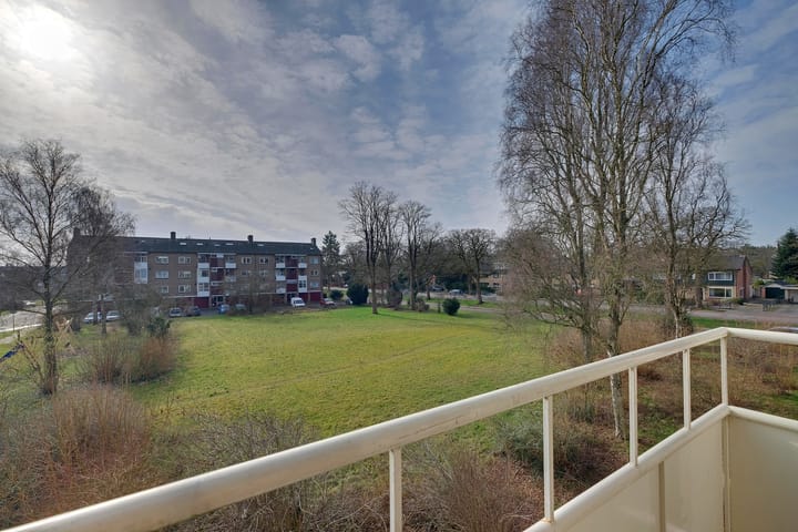 Foto 4 van Mezenlaan 117