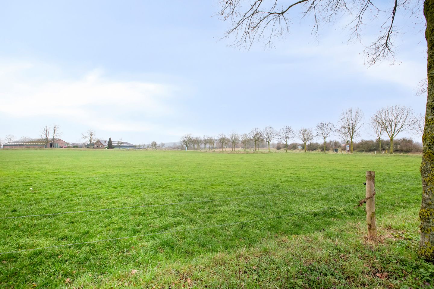 Foto 59 van Hofstraat 2