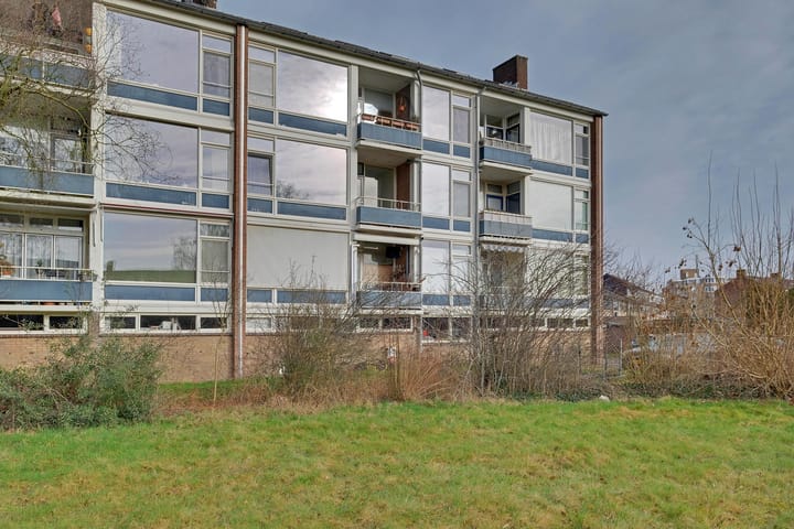 Foto 5 van Mezenlaan 117