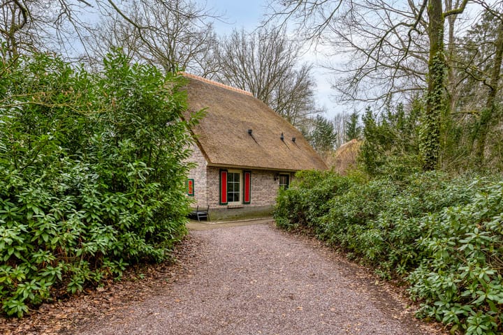 Foto 4 van Buinerweg 8-285