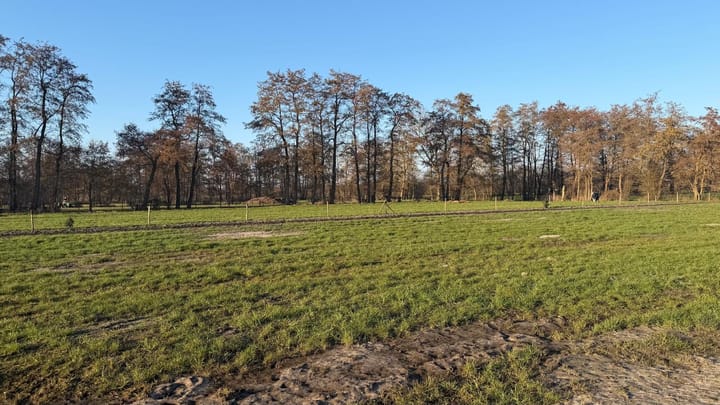 Foto 5 van De Geasten 1