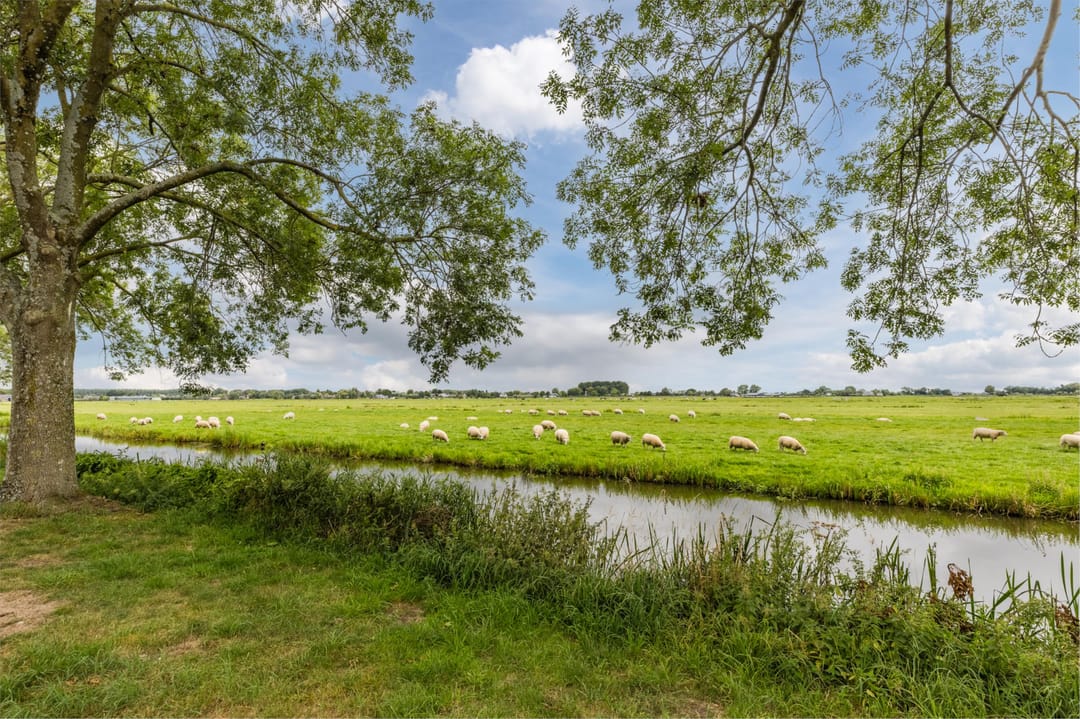 Foto 28 van Johannes Vermeerhof 11