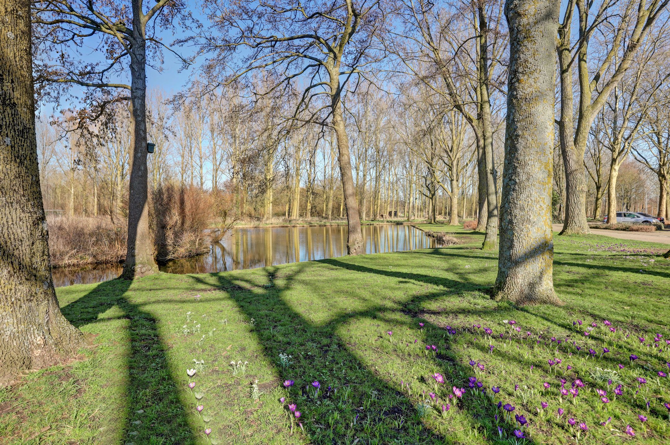 Foto 63 van Distelveld 16