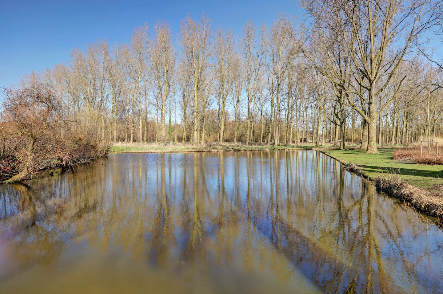 Foto 64 van Distelveld 16