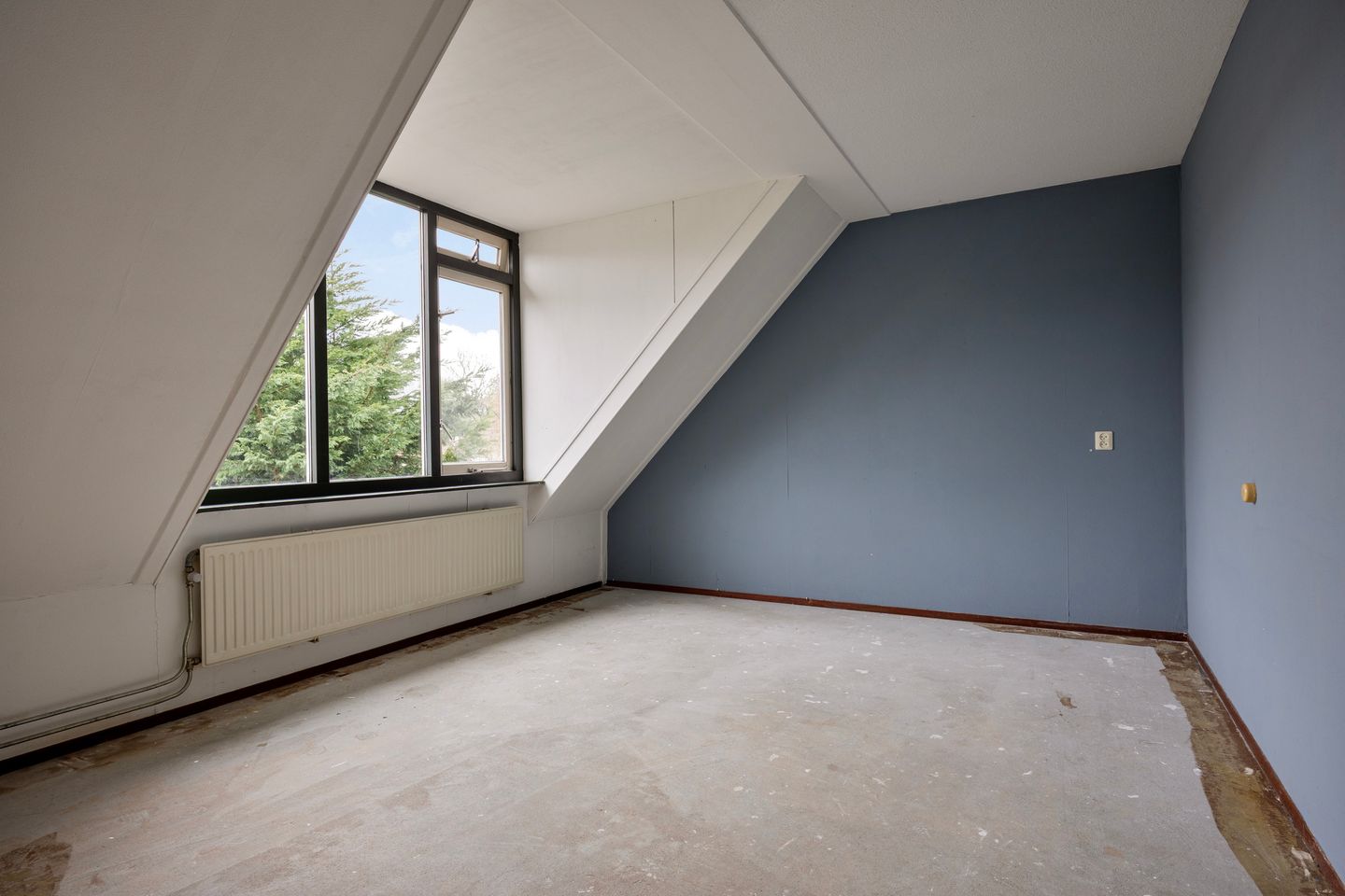 Foto 19 van Esdoorn 28