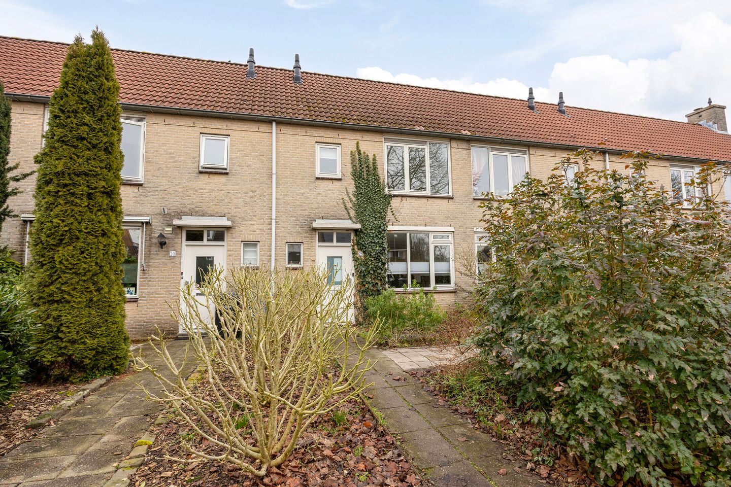 Esdoorn 28
