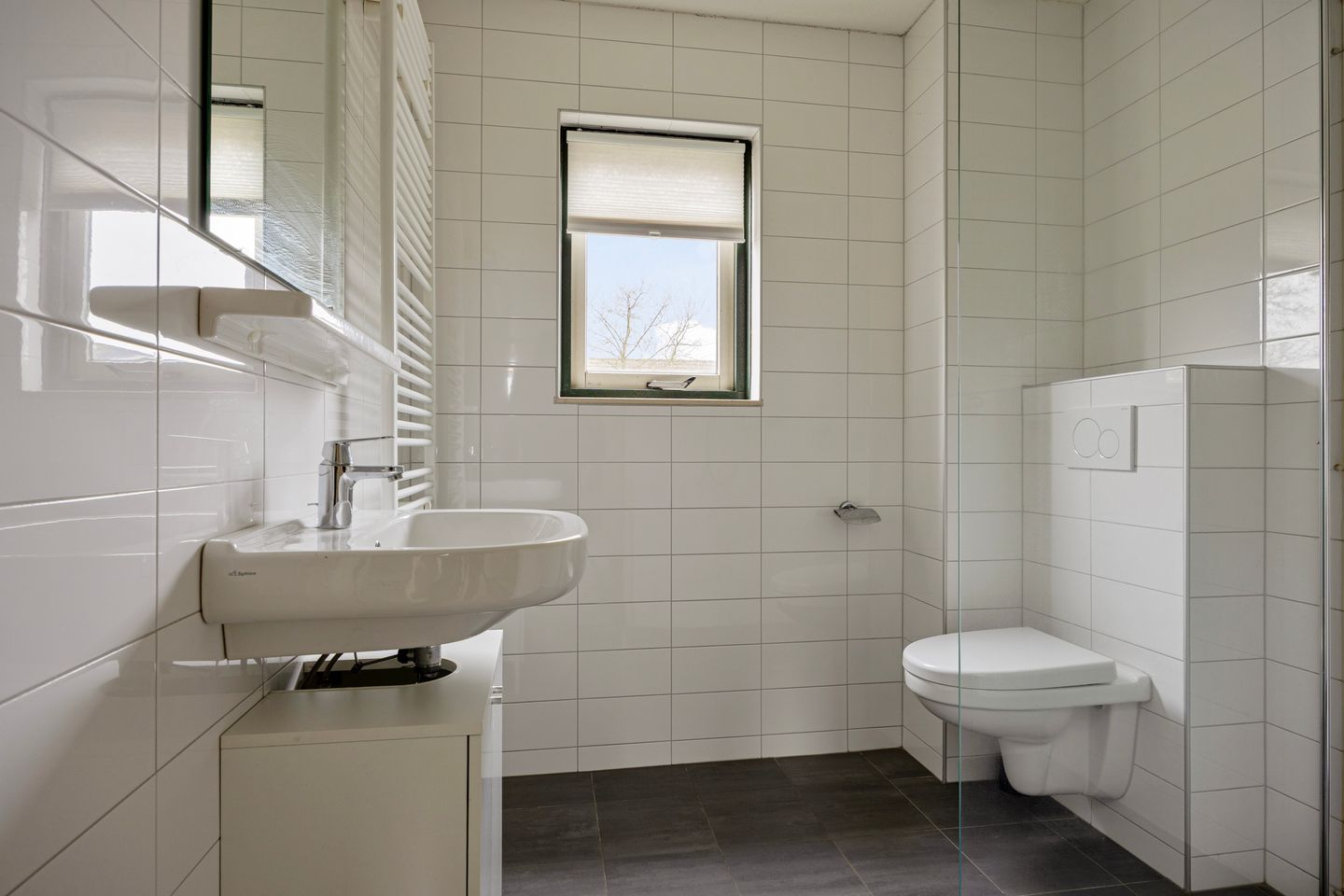 Foto 4 van Esdoorn 28