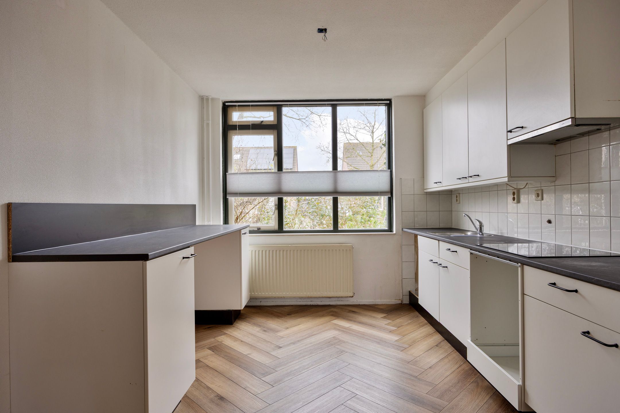 Foto 12 van Esdoorn 28