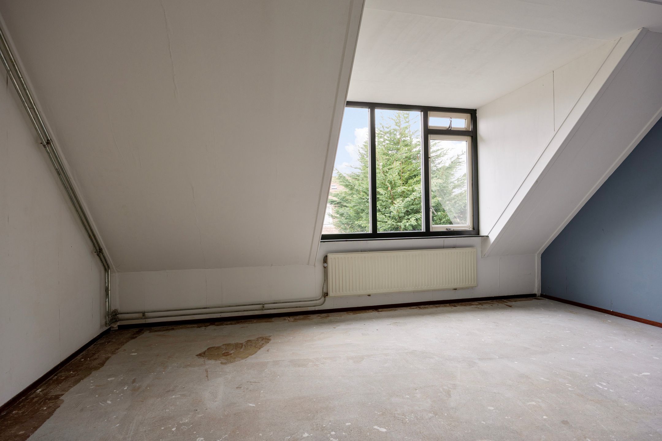 Foto 18 van Esdoorn 28