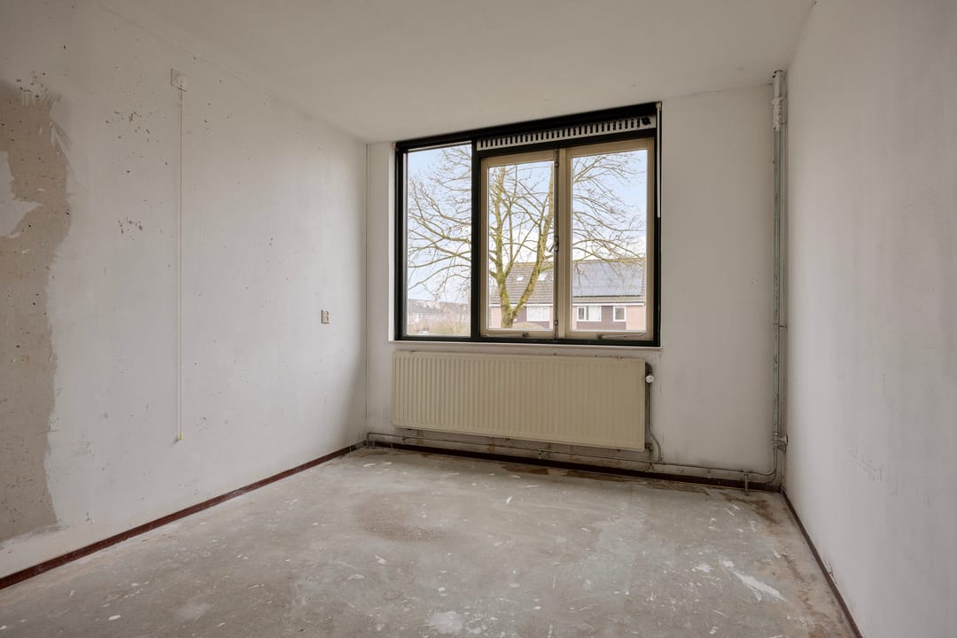 Foto 23 van Esdoorn 28