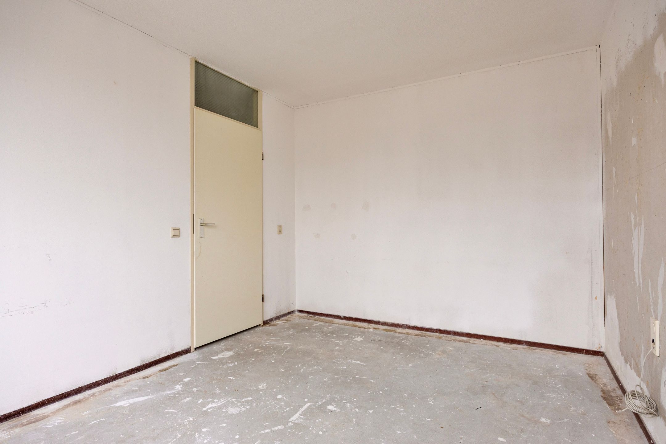 Foto 24 van Esdoorn 28