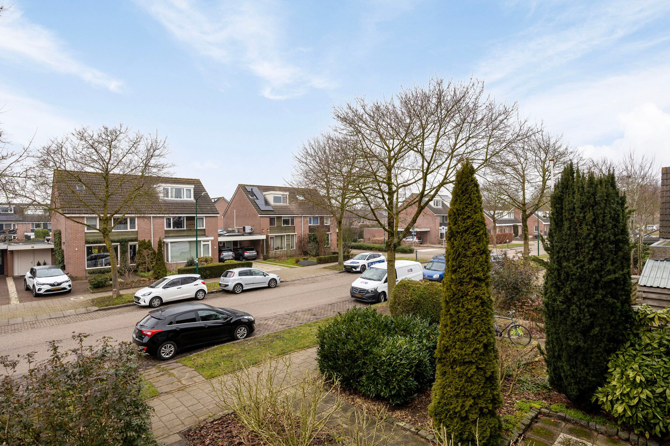 Foto 27 van Esdoorn 28