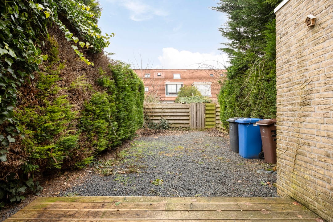 Foto 28 van Esdoorn 28